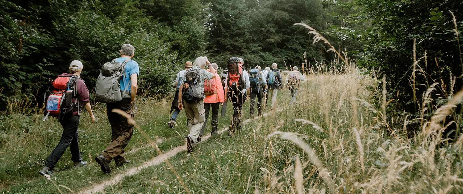 Pilgergruppe geht über eine Wiese durch den Wald